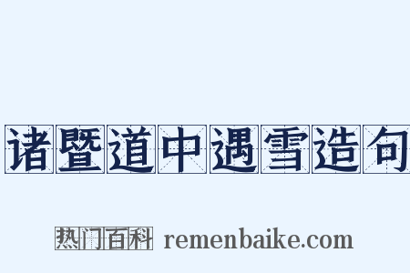 诸暨道中遇雪造句是什么意思的图片